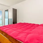 דירה Panorama קריקווניצה